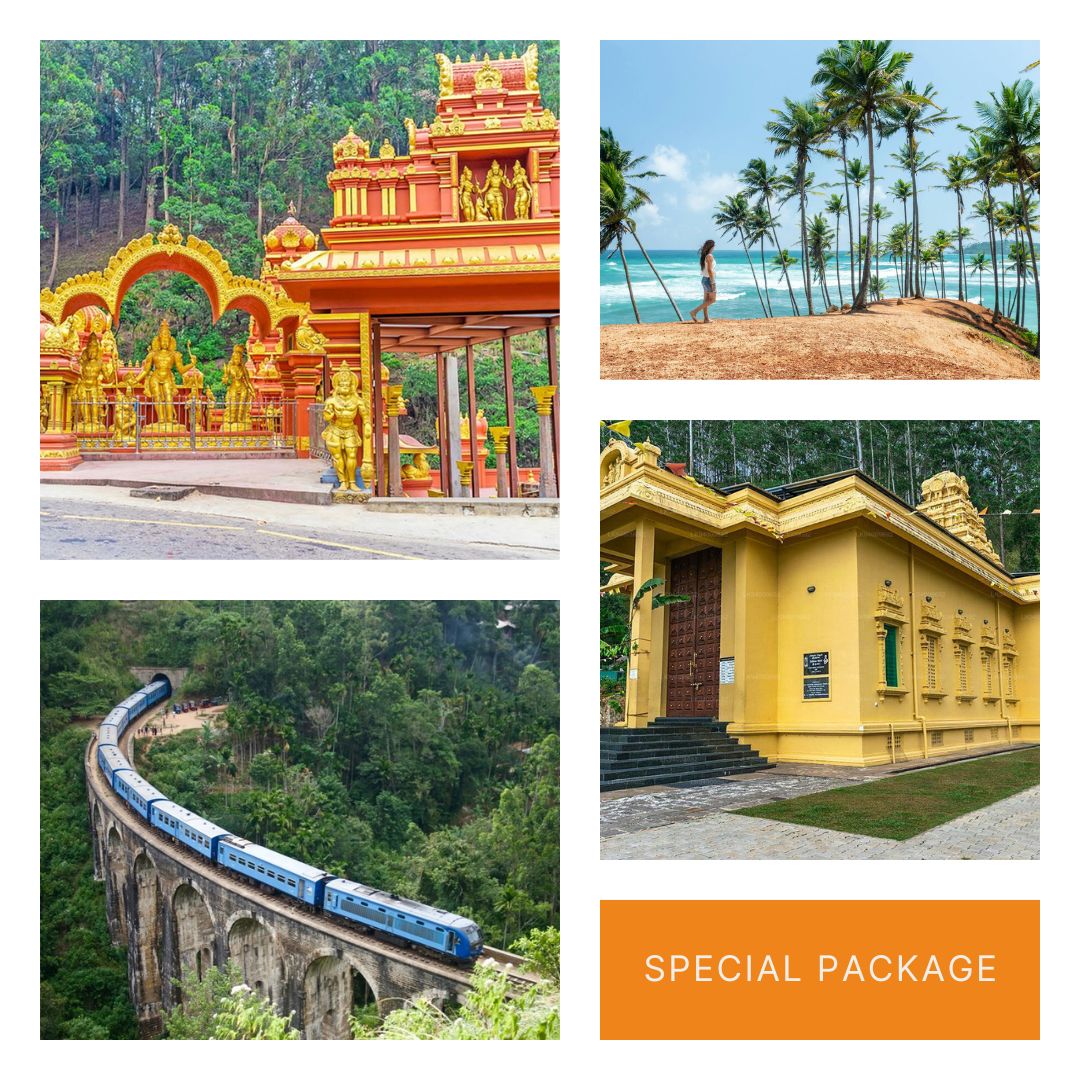 Special Tour Package